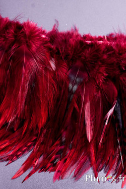 Frange coq chin roux - long. plumes 10-15 cm - bordeaux